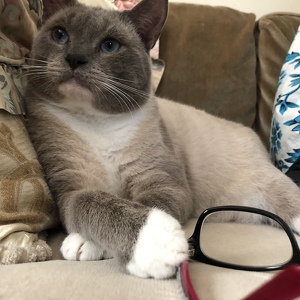 Fundraising Page: Christina Coury